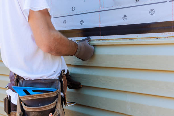 Best Vinyl Siding Installation  in Pine Bluff, AR